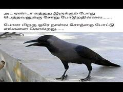 Daily Memes: ‘நேத்து விரட்டிட்டு இன்னிக்கு சோறு வைக்கிறியா...’ வைரலாகும் காக்கா மீம்ஸ்
