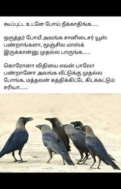 Daily Memes: ‘நேத்து விரட்டிட்டு இன்னிக்கு சோறு வைக்கிறியா...’ வைரலாகும் காக்கா மீம்ஸ்