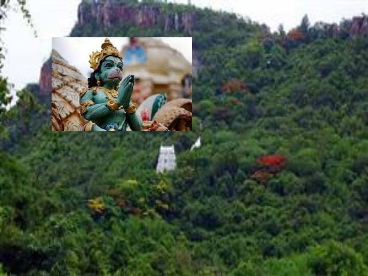 TTD Bhoomi Puja at Hanuman's birthplace on February 16 at Anjanadri in Thirumala TTD News: అదే హనుమంతుడి జన్మస్థలం, అక్కడే ఫిబ్రవరి 16న టీటీడీ భూమి పూజ