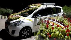 Fruit Decoration of Grooms Car: ফুলের বদলে ফলের বাহারে সাজল বরের গাড়ি | Bangla News