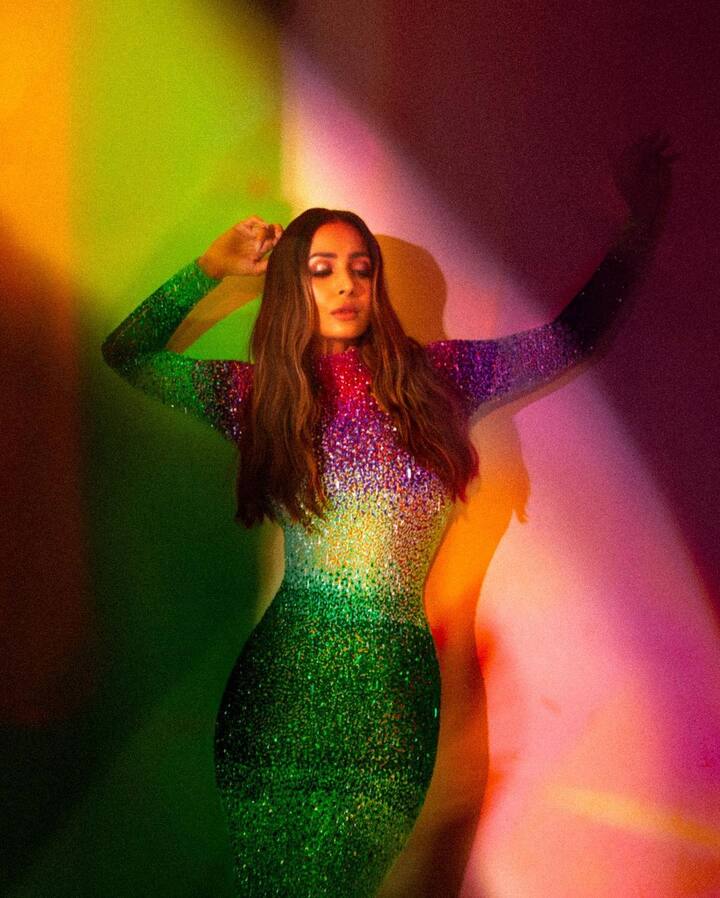 मलायकाने सांगितले की, 