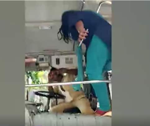 Woman Slaps RTC Driver : విజయవాడలో ఓ మహిళ వీరంగం | Vijayawada | APSRTC | ABP Desam