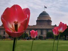 राष्ट्रपती भवनातील ऐतिहासिक मुघल गार्डन 12 फेब्रुवारीपासून सर्वसामान्यांसाठी खुले