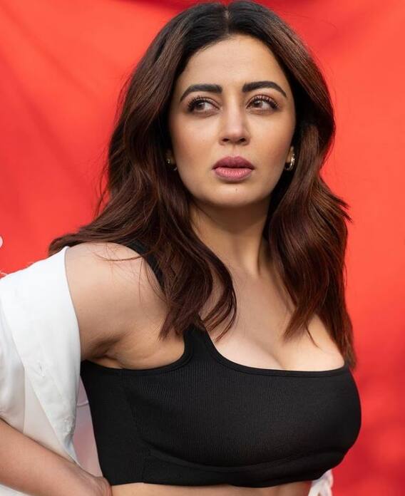 नेहा पेंडसेंचं छोट्या पडद्यावर कमबॅक