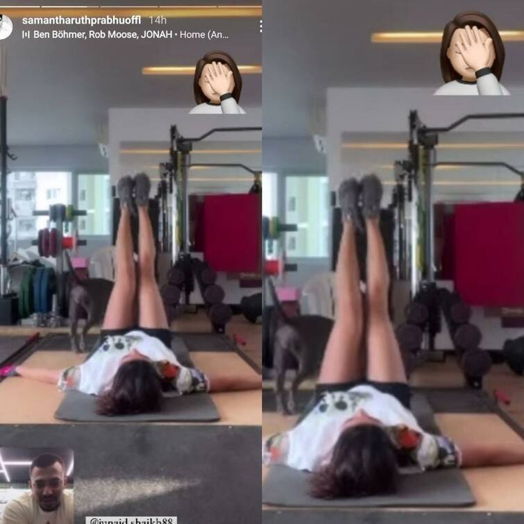 Samantha Ruth Prabhu Gym workout session interrupted by her pets video posted on instagram Samantha Workout: సమంతను వర్కవుట్ కూడా చేసుకోనివ్వడం లేదే!