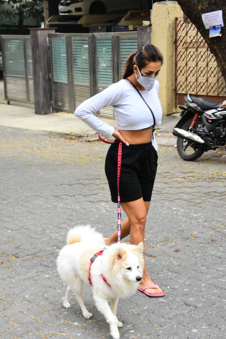 मलाइका अरोड़ा की मॉर्निंग वॉक (Malaika Arora Photos) की ये तस्वीरें रोजाना सोशल मीडिया पर छाईं रहती हैं. लेकिन इस बार मलाइका की तस्वीरों को देख लगा कि मैडम काफी थकी हारी घर से बाहर निकली हैं.