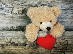 Teddy Day: హ్యాపీ టెడ్డీ డే... ఏ రంగు టెడ్డీ బేర్‌ ఏ భావాన్ని సూచిస్తుంది?