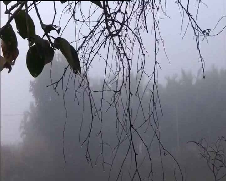 আলিপুর আবহাওয়া দফতরের পূর্বাভাস, কাল উত্তরবঙ্গে বৃষ্টি। শুক্রবার বৃষ্টি হবে দক্ষিণবঙ্গেও।
