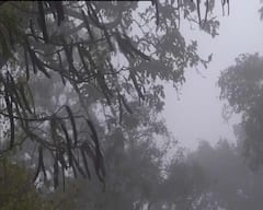 Kolkata Winter Update: শুক্রে বৃষ্টির পূর্বাভাস, শীত কি তবে পাততাড়ি গোটাল?