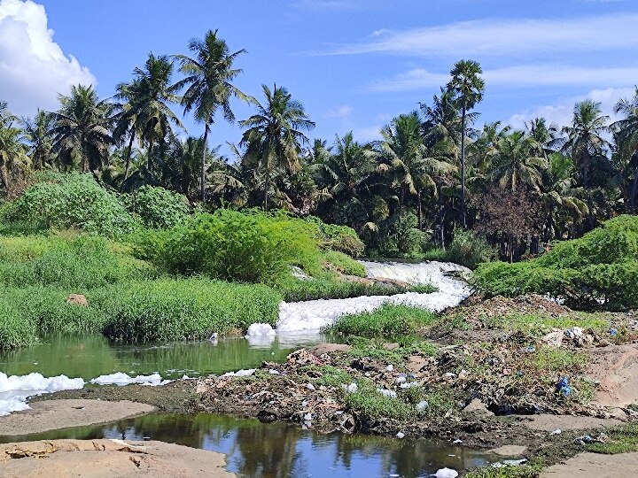 Local Body Election: சேலம் மாநகராட்சி மேயர் செய்ய வேண்டிய முதல் வேலை இதுதான் - கோரிக்கை வைத்த பொதுமக்கள்