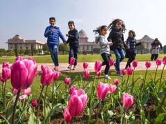 Delhi Mughal Garden: 12 फरवरी से आम जनता के लिए खुल जाएगा राष्ट्रपति भवन का Mughal Garden, ट्यूलिप सहित कई वैराइटी के गुलाब  मोह लेंगे मन