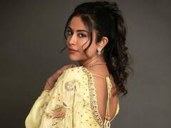 చీర కట్టులో, అదిరే లుక్‌లో అవికా గోర్