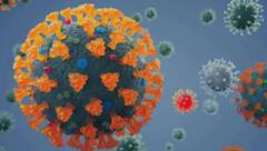 COVID 19 Cases: કોરોના વાયરસના નવા વેરિઅન્ટને લઈ WHO એ આપી આ મોટી ચેતવણી, જાણો શું કહ્યું ?