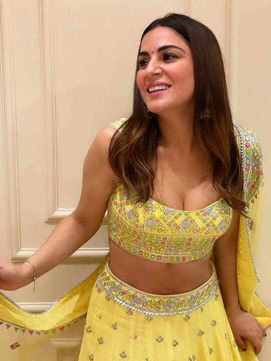 Shraddha Arya खूबसूरती में बॉलीवुड एक्ट्रेसेस को देती हैं टक्कर