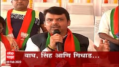 Devendra Fadnavis : शेर कभी गीदडों की धमकीयों से डरते नहीं, फडणवीसांचा राऊतांना टोला