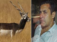 Salman Khan से जुड़े काला हिरण शिकार मामले में आज पूरी नहीं हुई सुनवाई, जानें- आगे की बात  