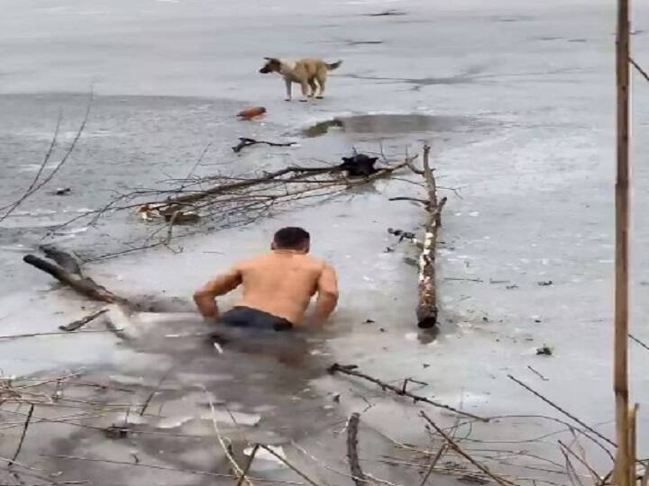 Ukraine:Video of Youngster saving dog from Frozen lake goes viral in social media Watch Video: உறைந்து போன ஏரியில் சிக்கிய நாய்... உயிரை பணயம் வைத்து மீட்ட இளைஞர்- வைரல் வீடியோ !