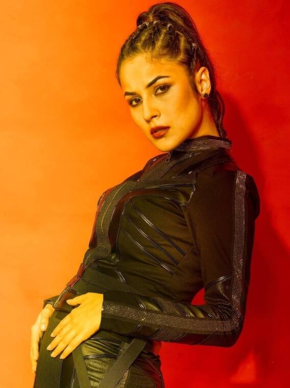 शहनाज गिल के सिजलिंग लुक्स