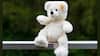 Easy Teddy Bear Making: বাড়িতে কীভাবে খুব সহজেই টেডি বিয়ার তৈরি করবেন? রইল পদ্ধতি