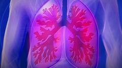 Pneumothorax: খেলতে গিয়ে বা দুর্ঘটনায় বুকে আঘাত! নিউমোথোরাক্স ডেকে আনতে পারে বিপদ