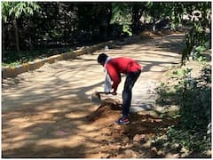 Toy Train: उदयपुर के गुलाब बाग में फिर दौड़ेंगी टॉय ट्रेन, पटरियों के बिछाने का काम शुरू