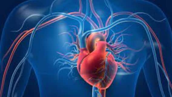 COVID-19 Update : করোনার তৃতীয় ঢেউয়ের ধাক্কায় বাড়ছে হৃদরোগের আশঙ্কা, বলছে গবেষণা | Bangla News