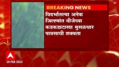 Vidarbha Rain : विदर्भासाठी मोठी बातमी! नागपूर, भंडारा आणि गोंदिया जिल्ह्याला रेन अलर्ट