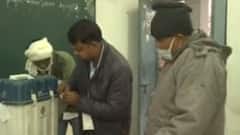 Voting for First Phase:यूपी में पहले चरण में 57 फीसदी से ज्यादा मतदान, शामली में सबसे ज्यादा मतदान हुआ