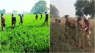 ਮਾਸੂਮ ਨੂੰ ਦਿੱਤੀ ਖੌਫ਼ਨਾਕ ਮੌਤ, ਇੱਕ ਅੱਖ ਕੱਢੀ, ਦੂਜੀ 'ਚ ਠੋਕੀ ਕਿੱਲ , ਲਾਸ਼ ਦੇਖ ਕੇ ਕੰਬ ਉਠੇਗਾ ਦਿਲ