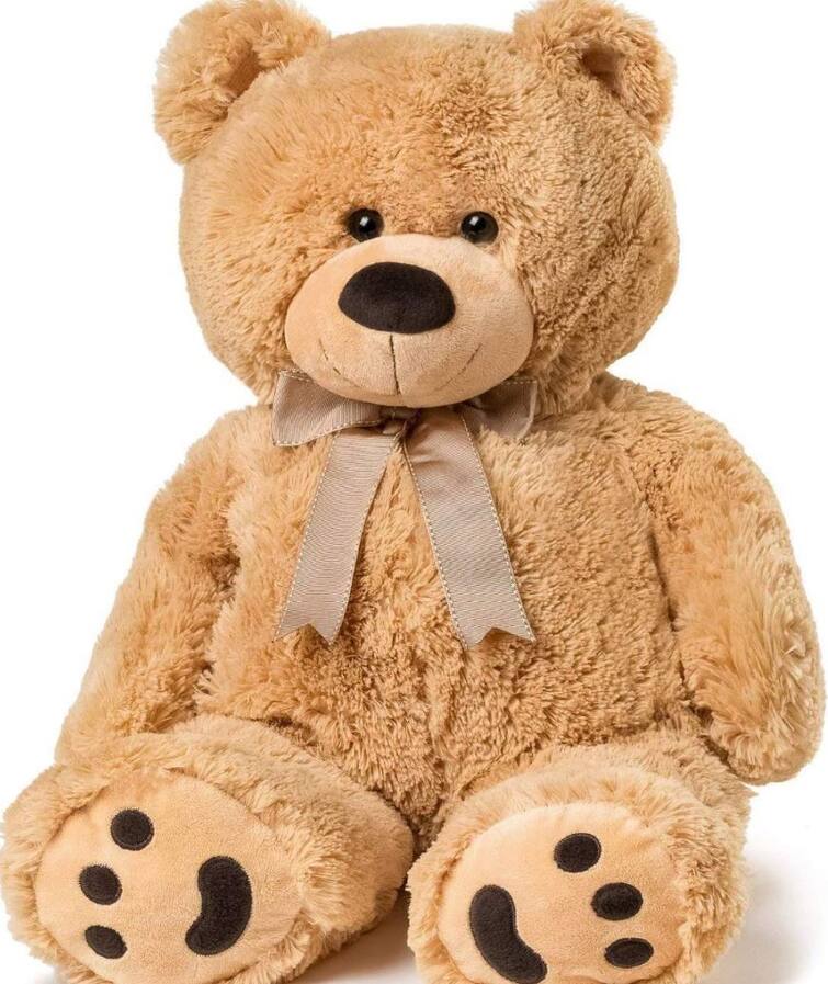 Teddy day: How teddy bear was made teddy making complete story Teddy Day: ਕੀ ਤੁਹਾਨੂੰ ਪਤਾ ਹੈ ਕਿਵੇਂ ਹੋਂਦ 'ਚ ਆਇਆ 'Teddy', ਇਹ ਹੈ ਇਸ ਦੇ ਬਣਨ ਦੀ ਕਹਾਣੀ