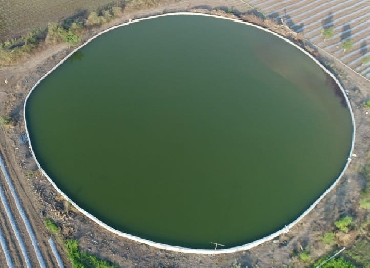 Beed Farmers Well beed News farmer built very big  Well in his farm Well built at a cost of Rs 1.5 crore हे तळं नाही तर विहीर! बीडच्या शेतकऱ्यानं दीड कोटी रुपये खर्चून एक एकरात बांधली विहीर; कशी आहे ही विहीर?