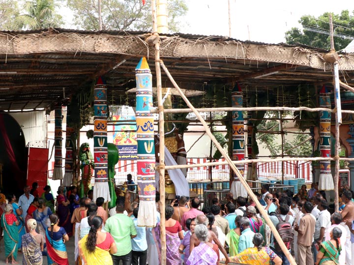 கும்பகோணம் மாசிமக பெருவிழா-சக்கரபாணி சுவாமி, ராஜகோபாலசுவாமி, ஆதிவராக பெருமாள் கோயில்களில் கொடியேற்றம்