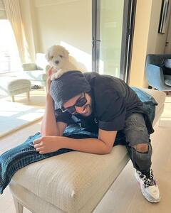 Teddy Day: टेडी बियर से भी ज्यादा क्यूट हैं इन Bollywood स्टार्स के पेट, देखिए Alia Bhatt की बिल्ली से Kartik के क्यूट कटोरी की तस्वीर...