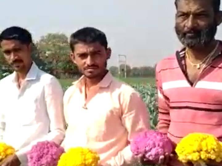 दरम्यान, 20 गुंठ्यात रंगीत कोबीचे उत्पादन घेतले आहे. त्यासाठी साधारणत 25 ते 30 हजार रुपयांचा खर्च आला आहे. आत्तापर्यंत 4 टनापर्यंत उत्पादन घेतले आहे. अजून दोन ते सव्वा दोन टनापर्यंतचे उत्पन्न निघेल अशी आशा आहे.