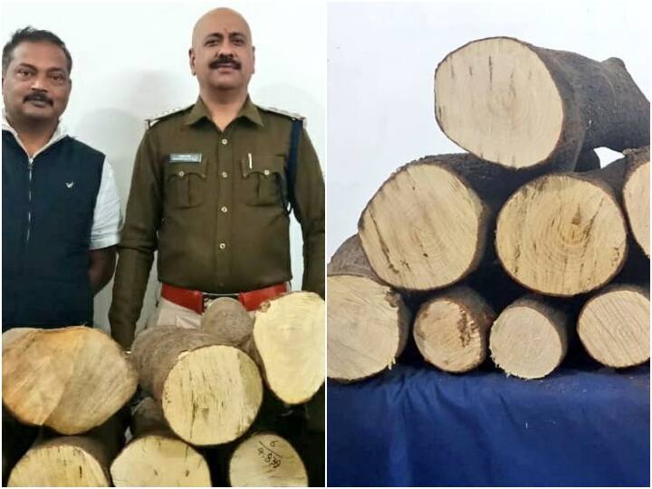 Chhattisgarh Smuggling of white sandalwood, police recovered sandalwood worth 5 lakhs ANN Bilaspur News: पुष्पा फिल्म की तर्ज पर छत्तीसगढ़ में हो रही सफेद चंदन की तस्करी, पुलिस ने 5 लाख रुपये का चंदन किया बरामद