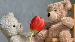 Happy Teddy Day 2022: 'টেডি ডে'-তে সঙ্গীকে বিশেষ বার্তায় যা লিখবেন