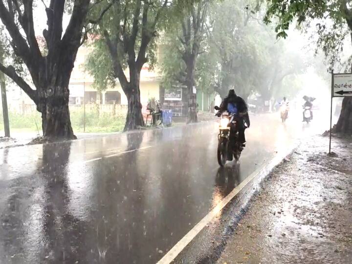 Mayiladuthurai rains disturb farmers மயிலாடுதுறையில் காலை முதல் பெய்துவரும் மழையால் விவசாயிகள் கலக்கம்