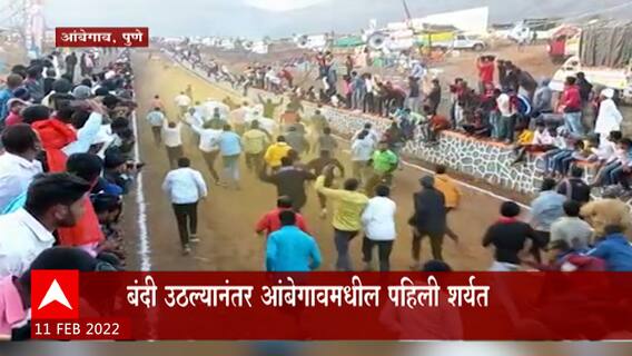 Pune Ambegaon Bailgada sharyat : आंबेगावमध्ये पुन्हा एकदा भिर्रर्रचा आवाज ABP Majha
