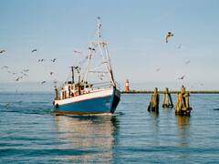 Nellore Fishing Harbour New Tourist Attraction: హార్బర్ ఎప్పుడు షురూ అంటే? | ABP Desam