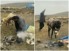 Watch: पहाड़ी बियाबान में  शख्स पर टूटा मुसीबतों का पहाड़, वीडियो देख नहीं रुकेगी हंसी