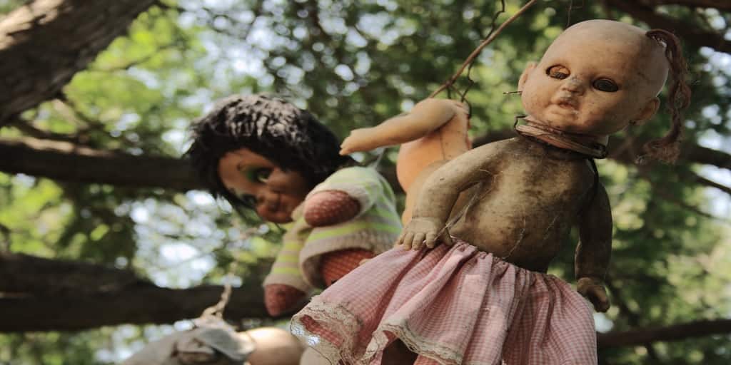 story of the Island Of The Dolls why its called haunted Island Of The Dolls: কারো চোখ নেই, কেউ আবার মুণ্ডহীন! গা ছমছমে এই দ্বীপে ঝুলে থাকে ভয়ঙ্কর সব পুতুল