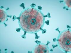 Mumbai Corona Update : मुंबईकरांना दिलासा! 367 नवे कोरोनाबाधित, 841 जण कोरोनामुक्त