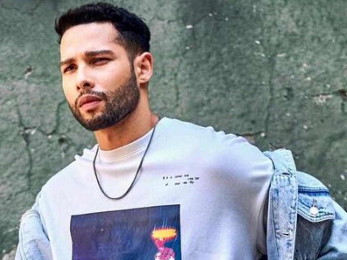 Siddhant Chaturvedi reveals how he has been managing multiple projects in  the new normal : Bollywood News - Bollywood Hungama