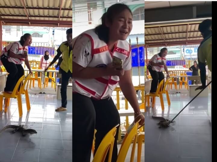 Watch Video: தாய்லாந்தில் கடைக்குள் புகுந்த உடும்பை கத்தி கத்தி அலறவிட்ட பெண்… வைரலாகும் வீடியோ