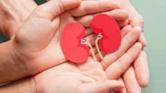 Chronic Kidney Disease: ক্রনিক কিডনি ডিজিজ, উপসর্গ কী, কখন দেখাবেন ডাক্তার, জেনে নিন এক ঝলকে