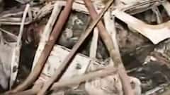 Ahmedabad Blast Case: दोषियों की सजा पर बहस आज, पीड़ितों को मिलेगा इंसाफ?