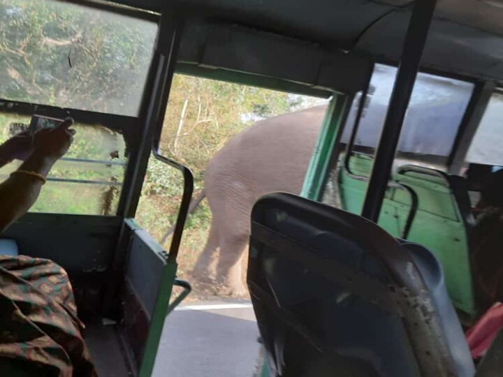 Elephant | மீண்டும் திரும்பிய ஒற்றை கொம்பன் யானை.. பதறி அலறிய ஜவ்வாது மலை அரசு பேருந்து பயணிகள்..