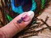UP Election 2022: Phase 2 Voting On Feb 14  — Check Full List Of Constituencies Going To Polls