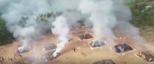 2 Lakh KG Ganja destroyed: Anakapalli సమీపంలో DGP ఆధ్వర్యంలో భారీగా గంజాయి నాశనం| ABP Desam