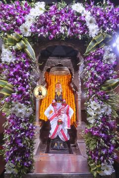 Maghi Ekadashi Photo : आज माघी एकादशी; पाहा विठुरायाचे सावळे सुंदर रुप मनोहर